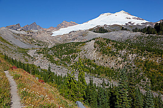 美国,华盛顿,贝克山,国家休闲度假区,公园,山岗,冰河