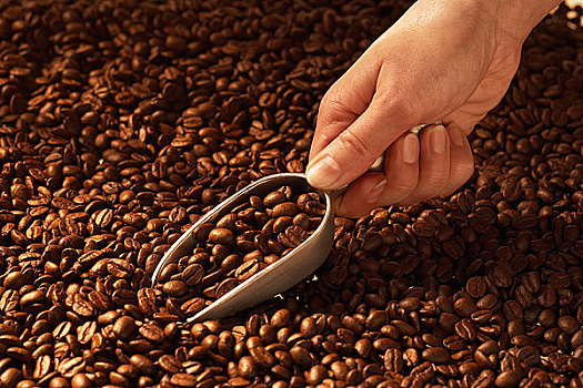 手,舀,咖啡豆