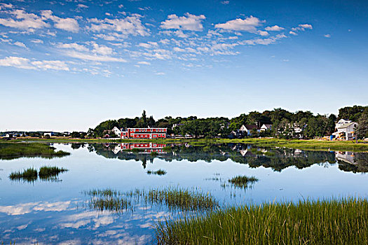 马萨诸塞,科德角,溪流,乡村,风景