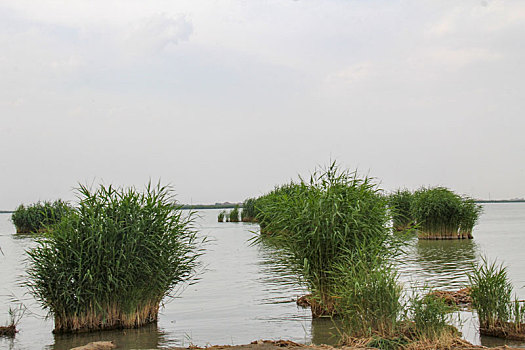 宁夏沙湖