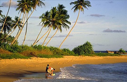 海滩,南海岸,斯里兰卡