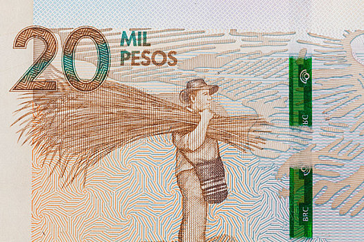 农民,哥伦比亚,比索,钞票
