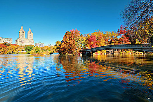 中央公园,秋天,建筑,反射,曼哈顿中城,纽约
