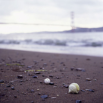 海滩,潮退,石头,球,贻贝,海洋,海岸,水,潮汐,自然,风景,黎明,背景,模糊,沙滩,沙子,漂流物,无人,孤单,洗,岸边,概念,度假,安静
