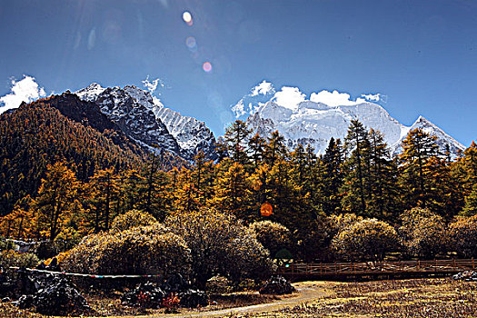 四川稻城风景