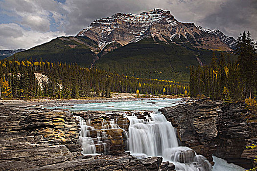 瀑布,树林,阿萨巴斯卡瀑布,碧玉国家公园,艾伯塔省,加拿大