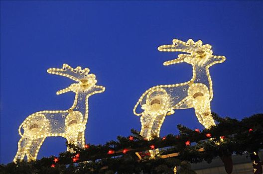 亮光,彩灯,驯鹿,圣诞市场,多特蒙德,北莱茵威斯特伐利亚,德国,欧洲