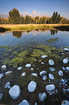 鹅卵石,大提顿山,背景,大台顿国家公园,怀俄明,美国
