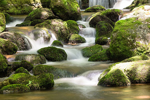 山川,树林