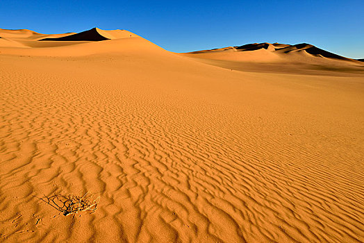 沙丘,撒哈拉沙漠,省,阿尔及利亚,非洲