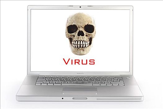 头骨,电脑屏幕,象征,病毒,警惕