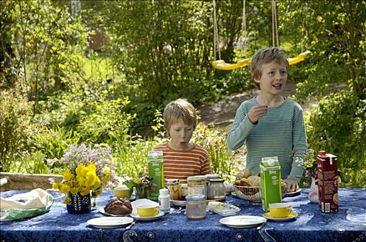 两个男孩,吃早餐,花园