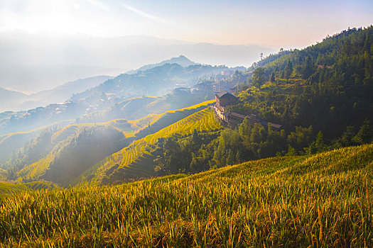 中国广西桂林龙脊梯田日照美景