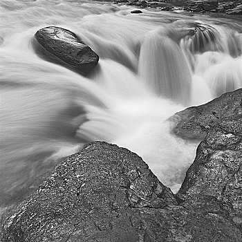 河流,流动,石头,碧玉国家公园,艾伯塔省,加拿大