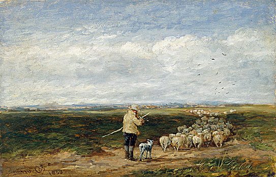 牧羊人,成群,艺术家,老人