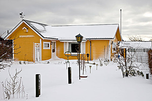 黄色,木质,房子,雪,遮盖,小块菜地,花园,丹麦,欧洲