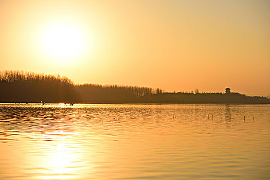 夕阳天鹅湖