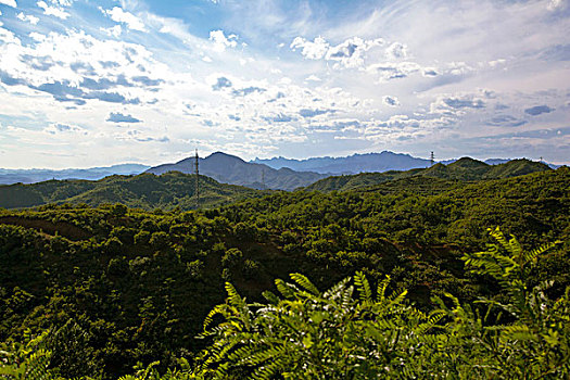 长满绿色植物的青山