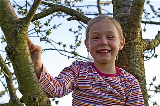 女孩,6岁,攀爬,樱桃树