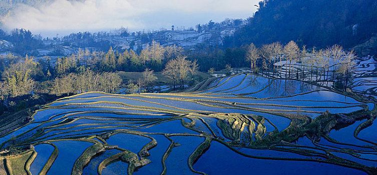 云南红河州元阳梯田自然景观