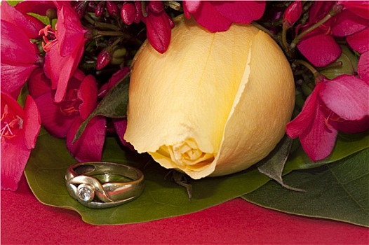 黄玫瑰,花,饰品
