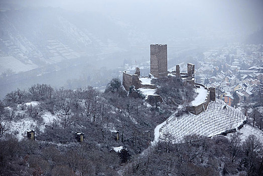 城堡,遗址,冬天,下雪,摩泽尔,莱茵兰普法尔茨州,德国,欧洲