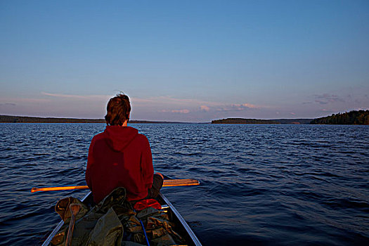 独木舟,旅游,湖,男人,船,背面视角,瑞典