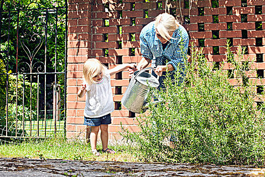 女性,幼儿,帮助,母亲,洒水壶,花园
