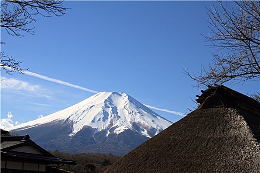 春天,山,富士山