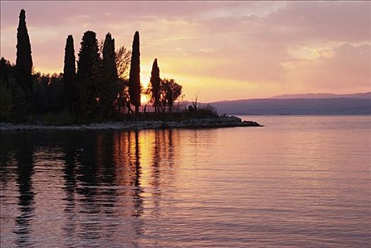 加尔达湖,海岬,落日余晖,树,加尔达,意大利,欧洲