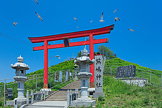 黑色,尾巴,海鸥,神祠