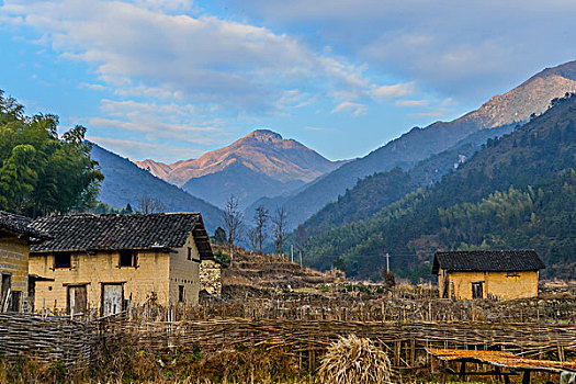 村庄,农村,草堆,房子,老屋,土墙,树,黄色,篱笆,小路,道路,稻草,山,蓝天,白云,石墙,鱼鳞云,牛,草,田地,农舍