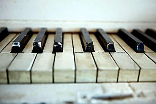 钢琴键,特写