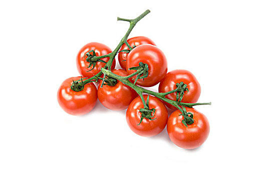 西红柿,藤,白色,背景