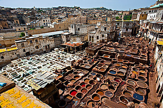 传统,制革厂,晒黑,死亡,桶,老,城镇,麦地那,世界遗产,摩洛哥,非洲