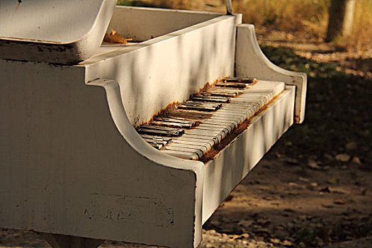 秋阳下的钢琴