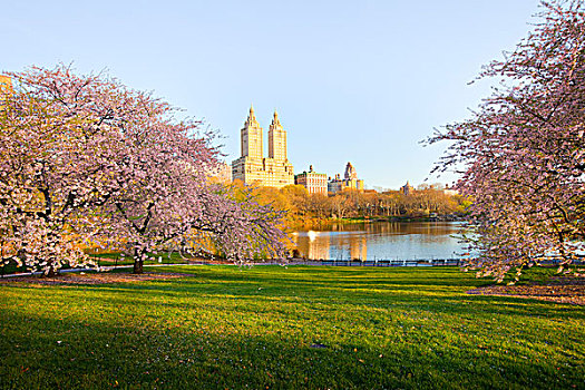 湖,中央公园,曼哈顿,纽约,美国
