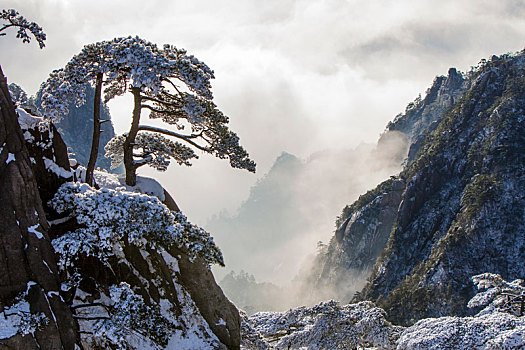 大美黄山