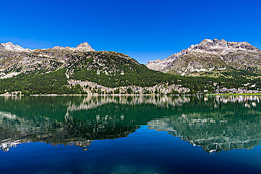 阿尔卑斯山,湖,晴天,靠近,圣莫里茨,瑞士