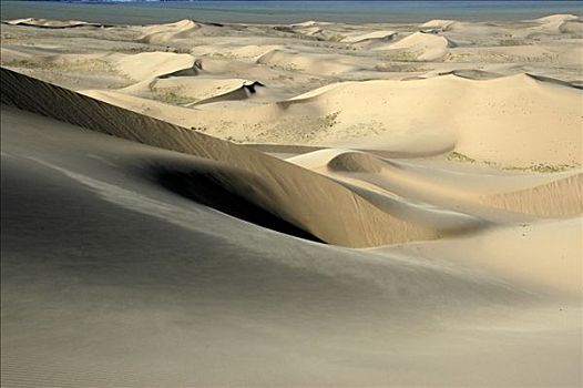 大,沙丘,戈壁沙漠,国家公园,蒙古
