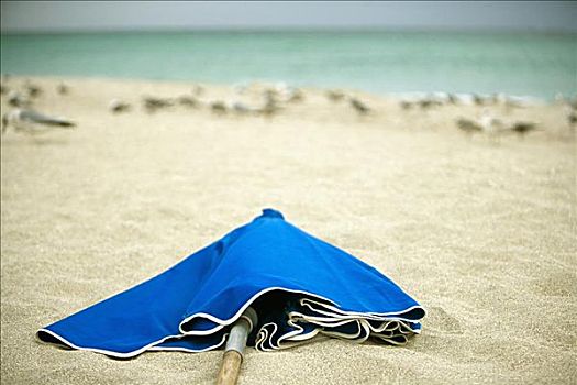 特写,折叠,海滩伞,海滩