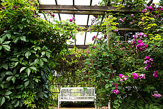 花园,长椅,棚架