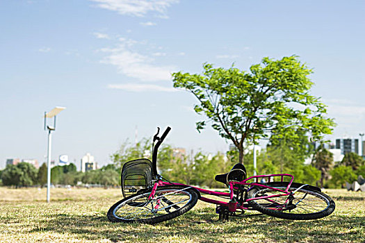 自行车,躺着,草地,公园