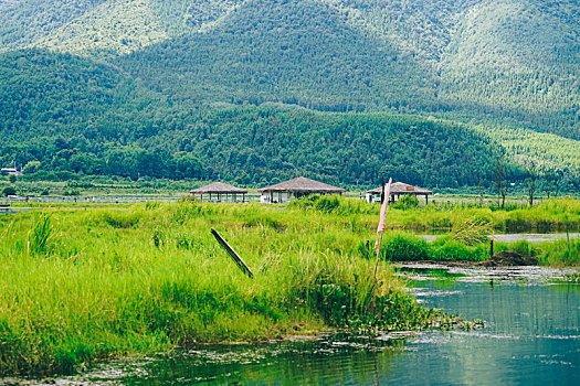 湿地公园