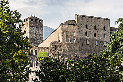 风景,城堡,复杂,贝林佐纳,提契诺河,瑞士
