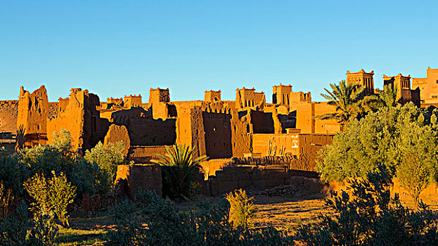 摩洛哥,风景,几个,牢固,房子,建筑,许多,围绕,绿洲