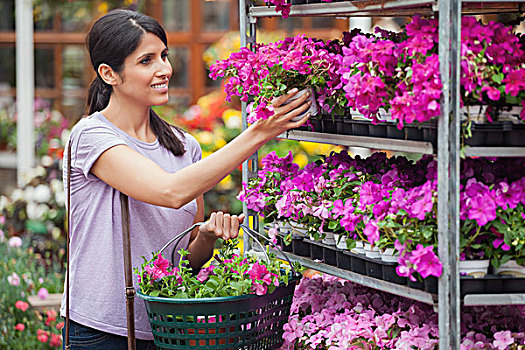 女人,看,紫色,粉色,植物,花卉商店