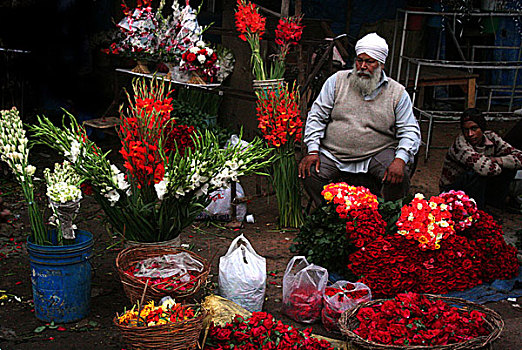 销售,花市,德里,印度
