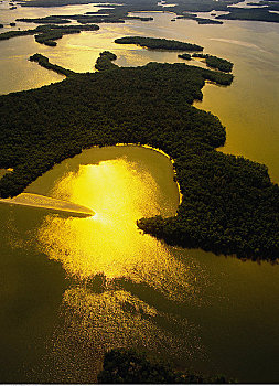 日出,俯视,红树林,岛屿,大沼泽地国家公园,佛罗里达,美国
