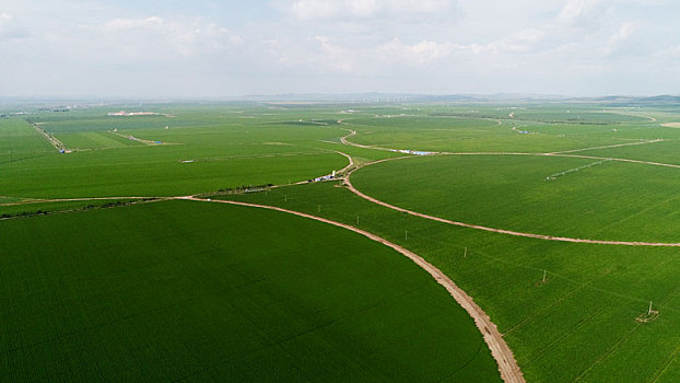 河北坝上成规模种植的现代化农田